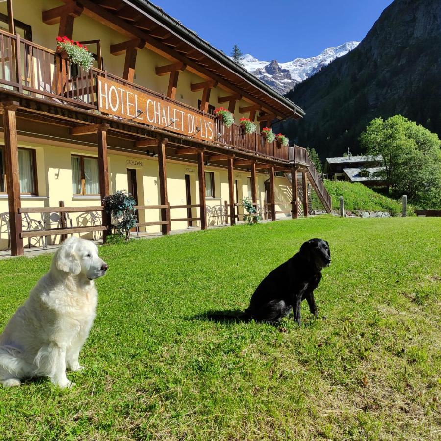 Chalet Du Lys Hotel & Spa Gressoney-La-Trinite Luaran gambar