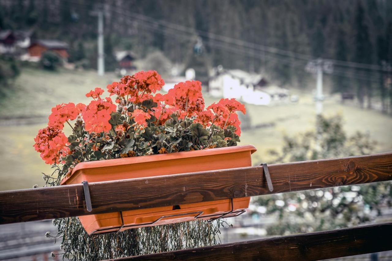 Chalet Du Lys Hotel & Spa Gressoney-La-Trinite Luaran gambar